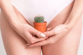 menopause and vaginal dryness