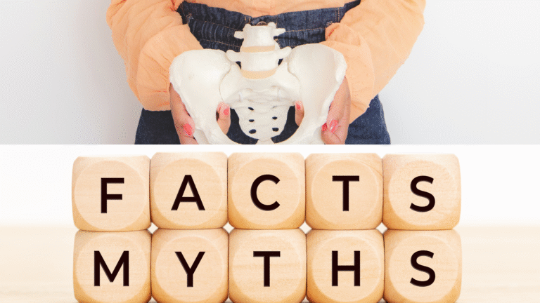 Pelvic Floor Myth facts and myth about the pelvic muscles